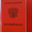 Призывать в армию скоро будут по фактическому месту проживания - Вечерний Котлас