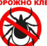 Осторожно – клещи! - Администрация Котласского района