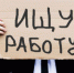 Минтруд спрогнозировал увеличение числа безработных в стране в полтора раза - Вечерний Котлас