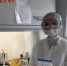 Оперативная информация по коронавирусу на 27.05.2020 - Администрация г. Котлас