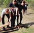 You are viewing the image with filename 1.jpg - Котласский филиал СПГУВК