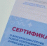 Обнаружена новая схема обмана с фальшивыми справками о вакцинации - Вечерний Котлас