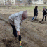 You are viewing the image with filename 1.jpg - Котласский филиал СПГУВК