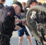 В Архангельской области дан старт профилактической акции «Мой велосипед дома» - Вечерний Котлас
