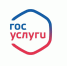 На сайте «Госуслуги» россиянам доступно уже порядка 500 госуслуг - Вечерний Котлас