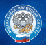 ФНС России предупреждает о мошеннических рассылках в интернете - Вечерний Котлас