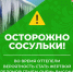 Внимание! Опасные сосульки!. - Котласский МО
