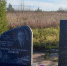 You are viewing the image with filename DCN6Nz4WrR0.jpg - Котласский филиал СПГУВК