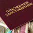 Пенсионеры в России смогут подтвердить свой статус по-новому - Вечерний Котлас