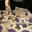 You are viewing the image with filename QCTGqi9p_jk.jpg - Котласский филиал СПГУВК