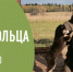 Сегодня, 5 декабря, в России отмечается День добровольца (волонтера). - Котласский МО