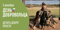 Сегодня, 5 декабря, в России отмечается День добровольца (волонтера). - Котласский МО