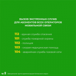 Они придут на помощь: телефоны экстренных служб, куда можно обратиться жителям Котласского округа в новогодние праздники.