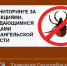 В Котласе зарегистрировано 712 случаев присасывания клещей. - Администрация г. Котлас
