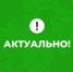 Филиал ППК «Роскадастр» по Архангельской области и Ненецкому автономному округу проведет горячую линию по вопросам предоставления сведений из ЕГРН. - Котласский МО