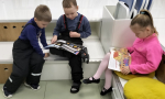 «Яркие краски джунглей»