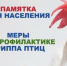 Профилактика птичьего гриппа: важные правила для владельцев домашней птицы. - Администрация г. Котлас