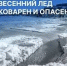 Об опасности весеннего льда. - Администрация г. Котлас