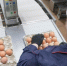 Котласская птицефабрика наращивает производство: в 2025 году на предприятии было произведено почти 90 млн яиц, планы на этот год – 100 млн.. - Администрация г. Котлас