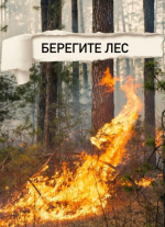 Установлен особый противопожарный режим в лесах.